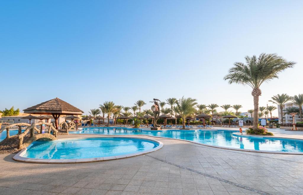 اقوي عروض فندق سيجال بيتش ريزورت الغردقة - عروض فنادق ورحلات الغردقة  | Seagull Beach Resort